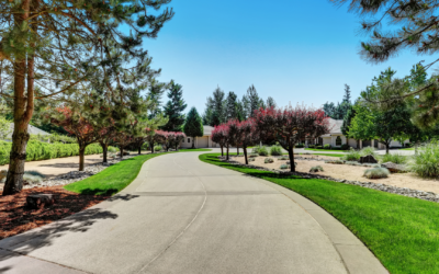 Driveway Concrete